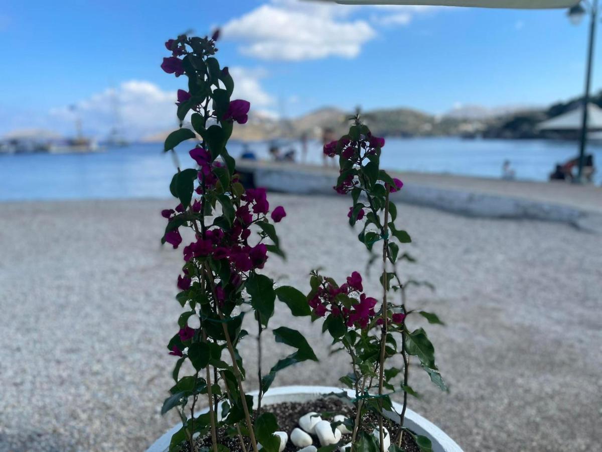 ονειρόπετρα λέρος~oneiropetra Leros Apartmán Panteli